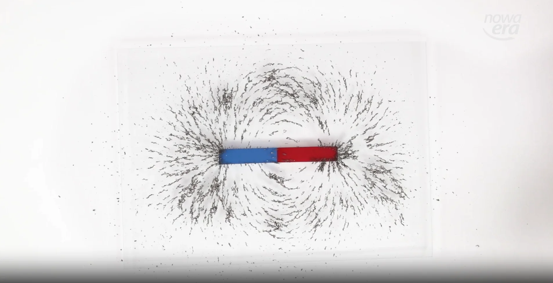 Linie pola magnetycznego