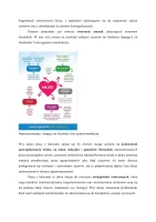 Próbny egzamin – praktyczne wnioski dla nauczycieli