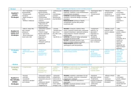 OUTCOMES Intermediate rozkład 60h
